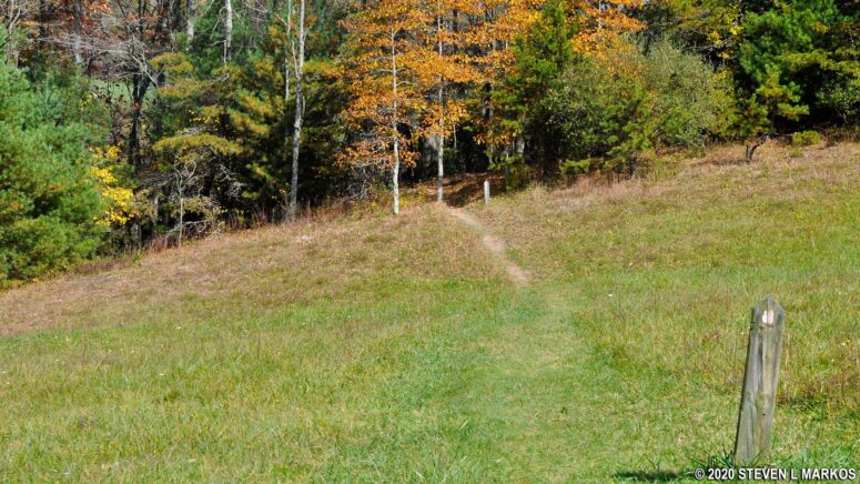 The High Meadow Trail at the Blue Ridge Music Center on the Blue Ridge Parkway enters back into the forest
