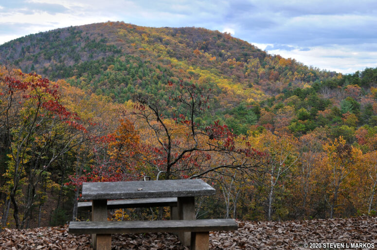 Picnic table along the Blue Ridge Parkway with a view of Rice Mountain