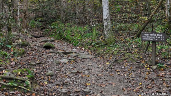 Start of the West Prong Trail at Great Smoky Mountains National Park