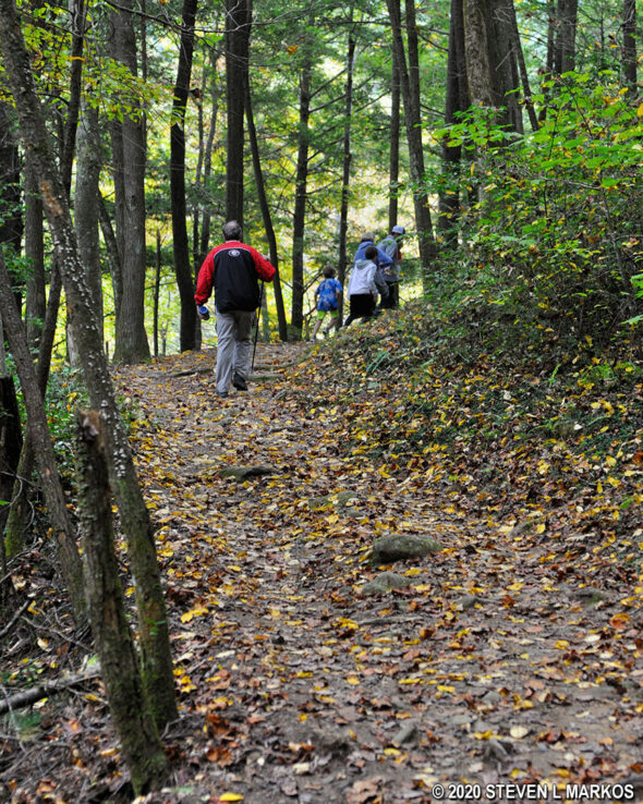 Hike up a mountain on the West Prong Trail in Great Smoky Mountains National Park