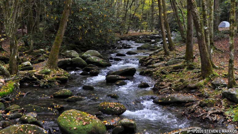 West Prong Little River near Backcountry Campsite 18 in Great Smoky Mountains National Park