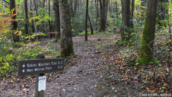 Connector trail to the Gabes Mountain Trail at Cosby Campground in Great Smoky Mountains National Park