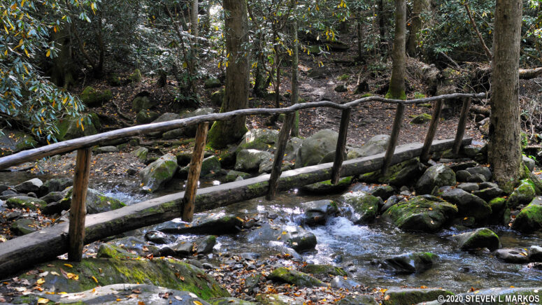 Indiana Jones bridge across a stream on the Gabes Mountain Trail in Great Smoky Mountains National Park