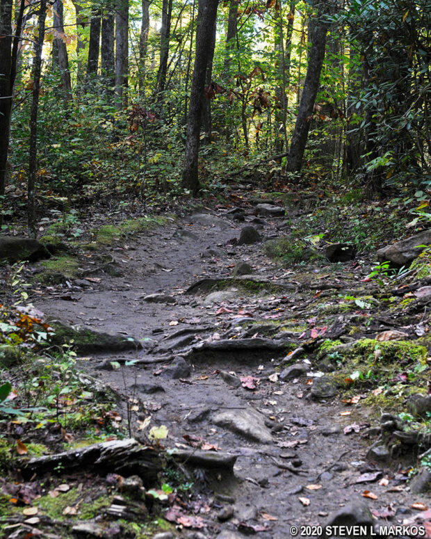Rocky terrain and hard clay surface of the Gabes Mountain Trail in Great Smoky Mountains National Park
