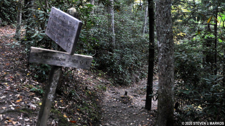 Side trail from the Gabes Mountain Trail to Hen Wallow Falls is very steep, Great Smoky Mountains National Park