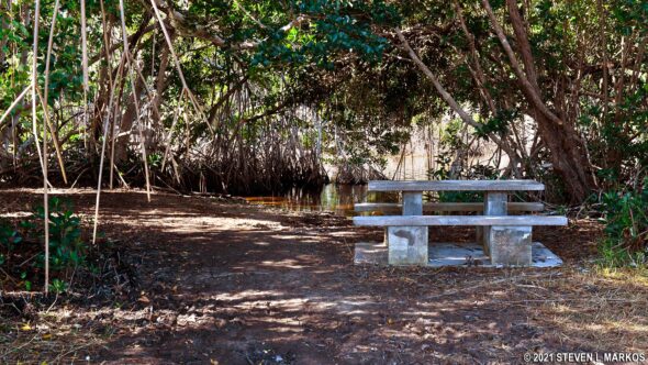 Picnic table at Coot Bay Pond in Everglades National Park