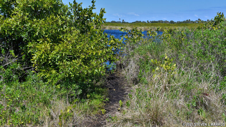 Path to the marsh along the Scrub Ridge Trail at Merritt Island National Wildlife Refuge