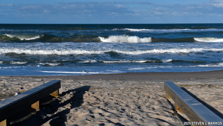 Beach side of the boardwalk at Canaveral National Seashore's Playalinda Beach #8