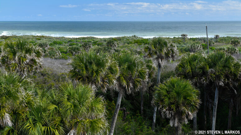 View of the Atlantic Ocean from Turtle Mound in Canaveral National Seashore