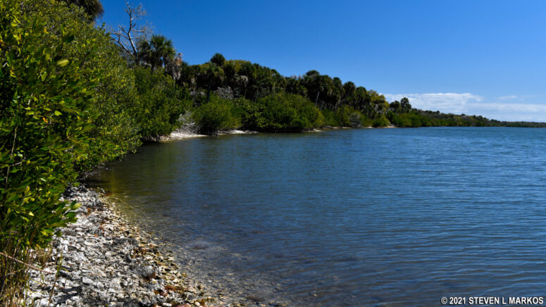 View of Mosquito Lagoon from the end of the Castle Windy Trail at Canaveral National Seashore