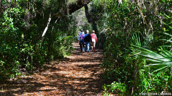 Castle Windy Trail at Canaveral National Seashore