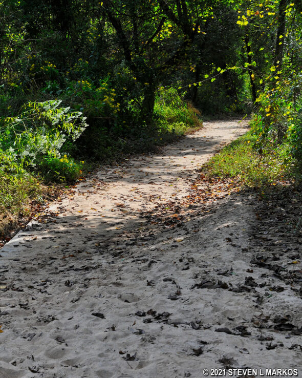 Section of the River Trail covered with deep beach-like sand