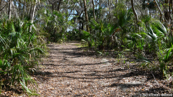 Cedar Point Loop Trail at Timucuan Ecological and Historic Preserve