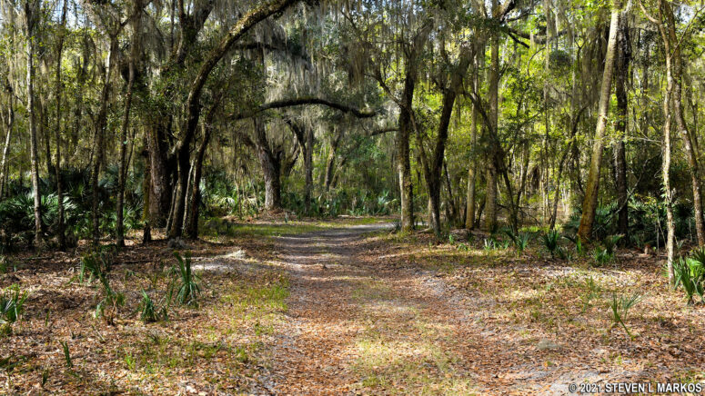 Hiking trail at Timucuan Ecological and Historic Preserve's Cedar Point