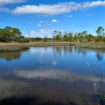 TIMUCUAN ECOLOGICAL AND HISTORIC PRESERVE