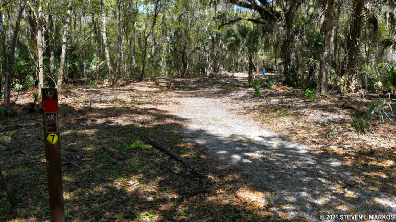 Start of the Pinelands Trail at Cedar Point, Timucuan Ecological and Historic Preserve
