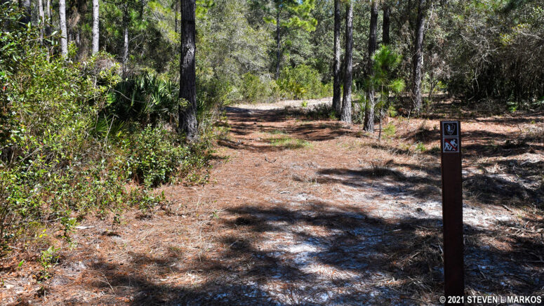 Trail at the northern end of the Pinelands Trail that leads to Cedar Point Road
