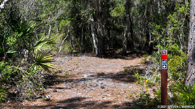 Segment of the Pinelands Trail that connects to the Cedar Creek Preserve