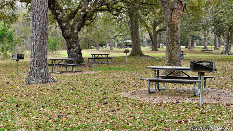 Individual picnic tables at the Davis Bayou Picnic Area, Gulf Islands National Seashore