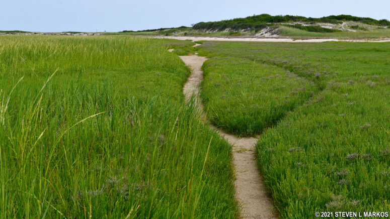 Path to the Long Point Dike