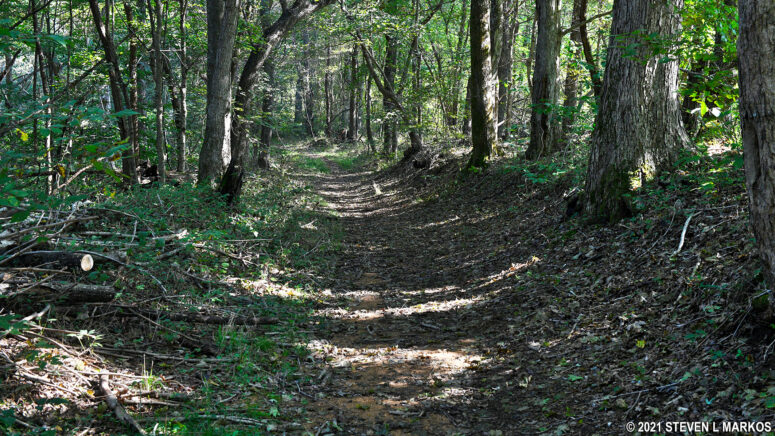Sunken section of the original Natchez Trace at Mile 403.7 on the Natchez Trace Parkway