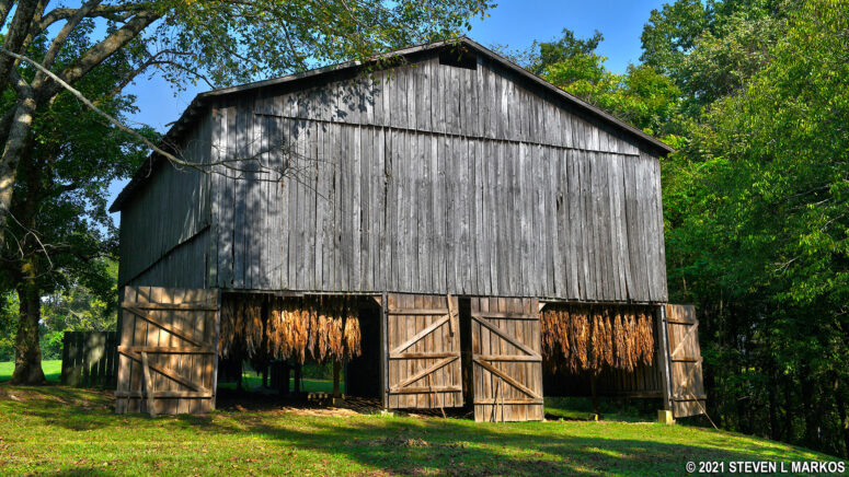 Tobacco hangs in the Tobacco Barn on the Natchez Trace Parkway