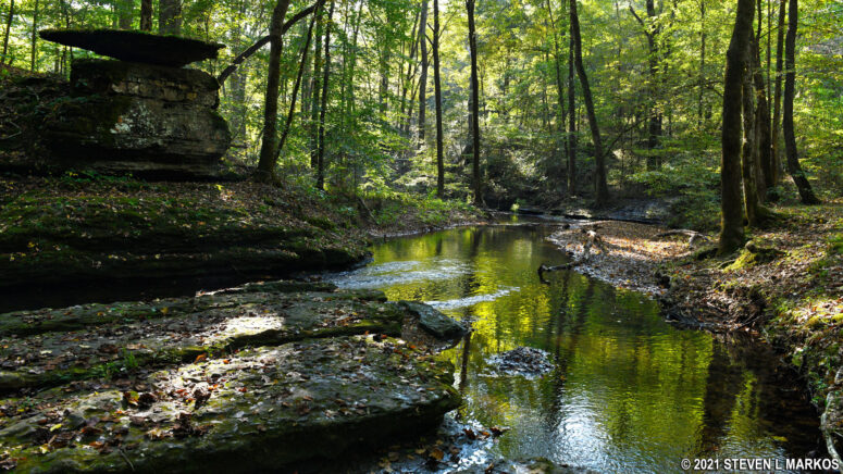 Picturesque Glenrock Branch near the Natchez Trace Parkway