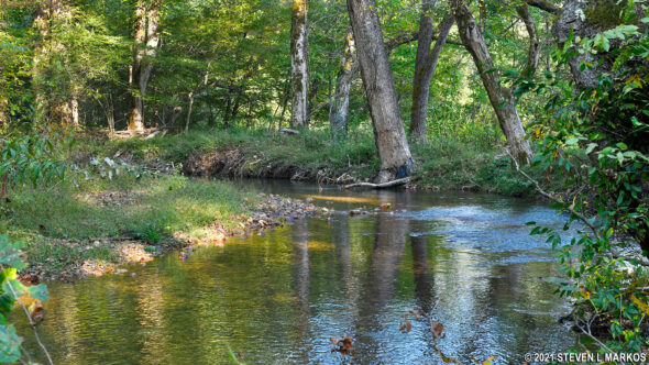 Sweetwater Branch near the Natchez Trace Parkway