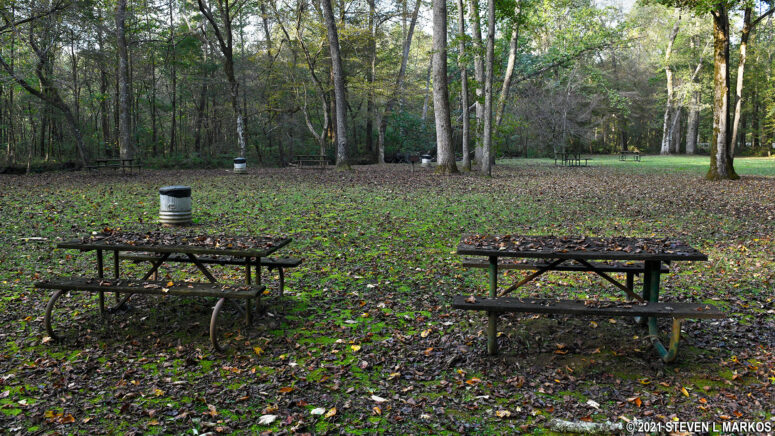 Holly Picnic Area at Mile Post 346 on the Natchez Trace Parkway