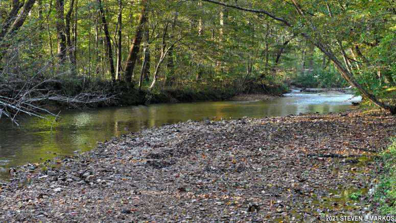 Cypress Creek