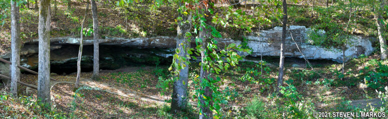 Sink hole at Cave Spring on the Natchez Trace Parkway (click to enlarge)