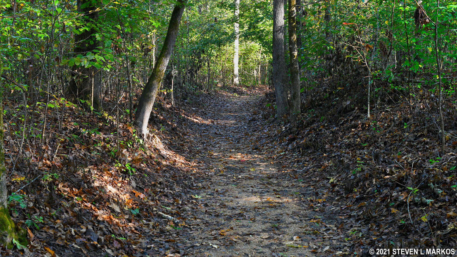 Natchez Trace Parkway | OLD TRACE AND CONFEDERATE GRAVES (MP 269.4)