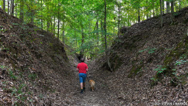 Walking in the sunken Natchez Trace at Mile 41.5 on the Natchez Trace Parkway