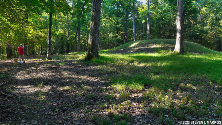 Shiloh Indian Mound Trail passes a burial mound