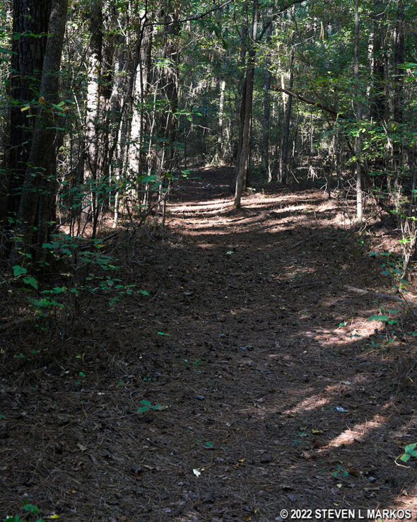 Typical terrain of the trail to the Confederate earthworks in Corinth, Mississippi