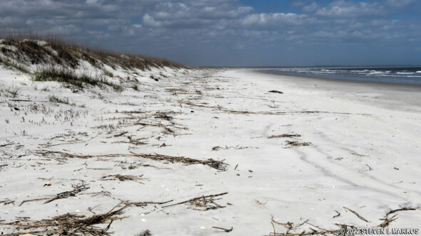 Cumberland Island National Seashore