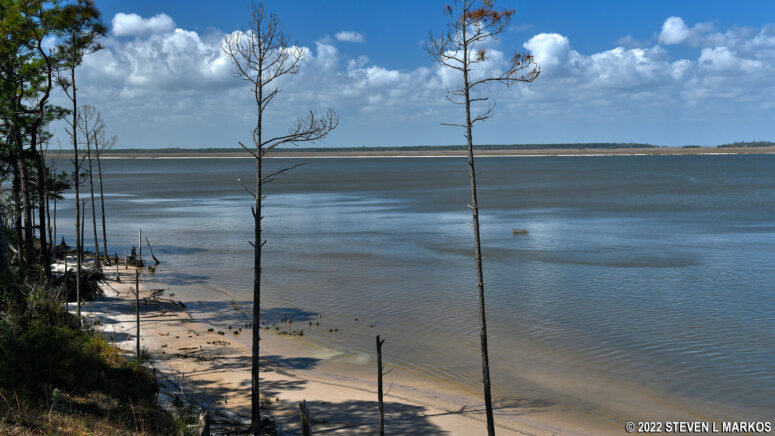 Pilings of the old Cumberland Island Wharf are visible from a bluff on the north end of the island