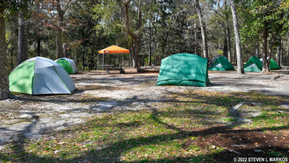 Group Campsite at the Davis Bayou unit of Gulf Islands National Seashore