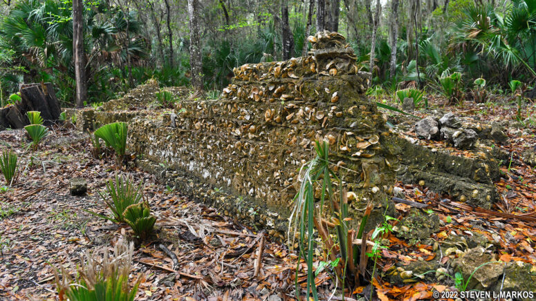 Ruins of the Fitzpatrick Plantation at Cedar Point at Timucuan Ecological and Historic Preserve