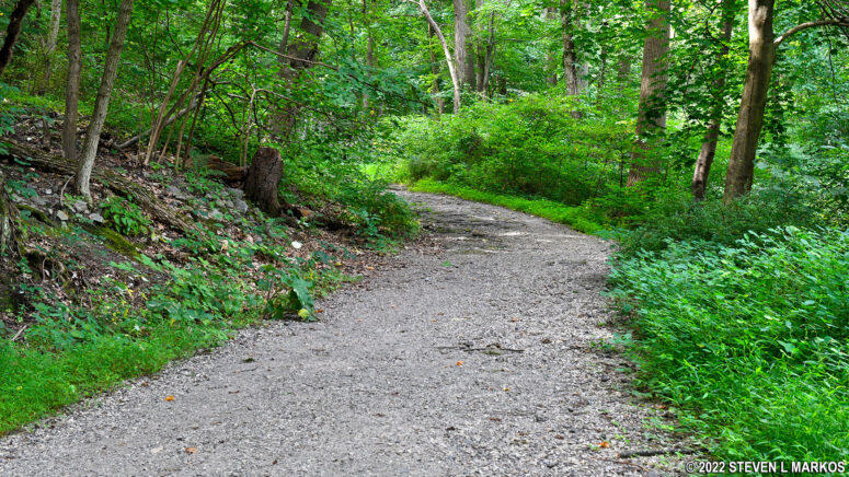 Horse-Shoe trail widens near the Colonial Spring Company's bottling plant at Valley Forge