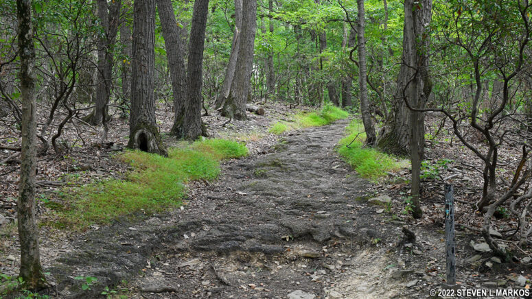 Trail to the summit of Mount Joy at Valley Forge National Historical Park
