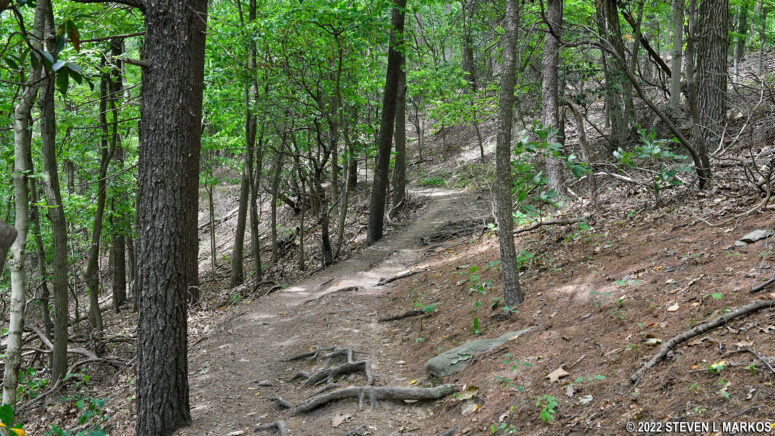 Valley Forge's Mount Joy Trail follows a ridge for a short time on the loop portion of the hike