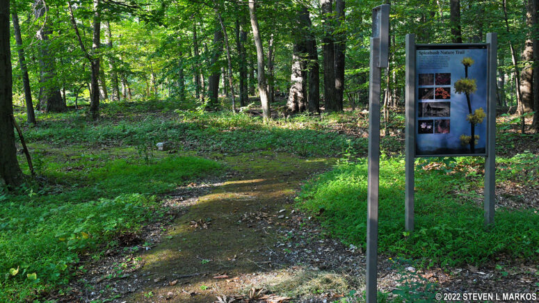 Start of the Spicebush Nature Trail at Catoctin Mountain Park