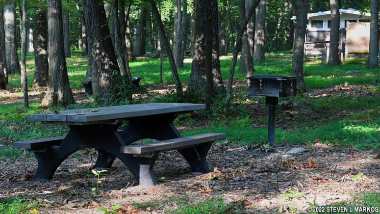Picnic table and grill at the Chestnut Picnic Area in Catoctin Mountain Park
