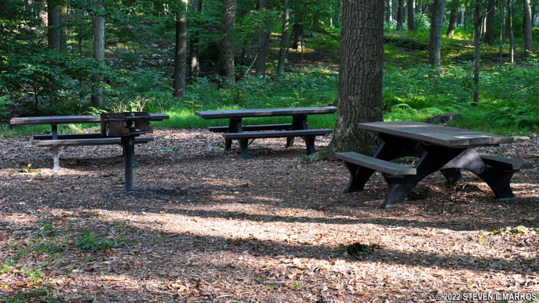 Group of three picnic tables at Catoctin Mountain Park's Chestnut Picnic Area