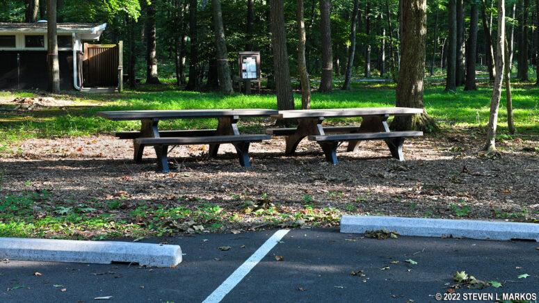 Picnic tables near the parking lot at Catoctin Mountain Park's Chestnut Picnic Area