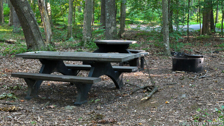 Picnic table for disabled visitors and fire pit at the Chestnut Picnic Area in Catoctin Mountain Park
