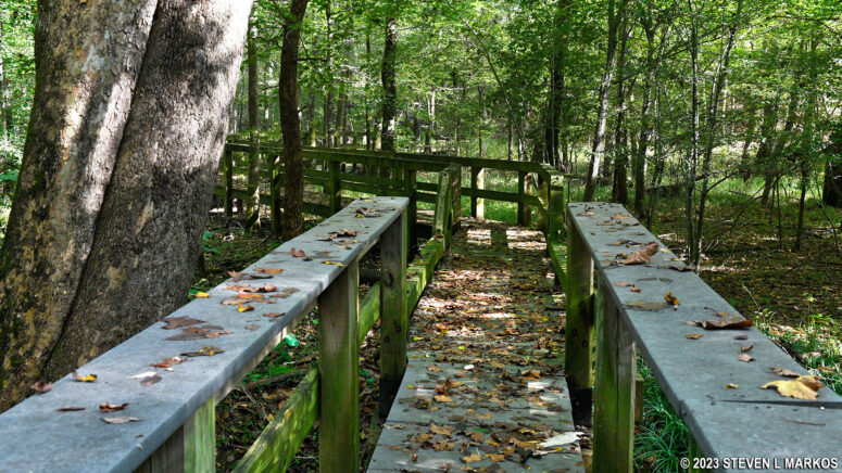 Boardwalk portion of the Fort Donelson National Cemetery Trail