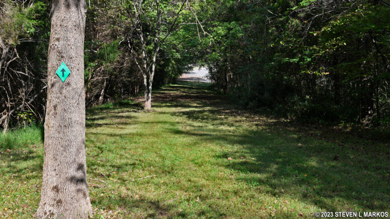 Green blazes mark the Fort Donelson National Cemetery Trail