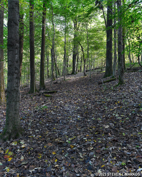 Steep terrain on the Fort Donelson National Cemetery Trail